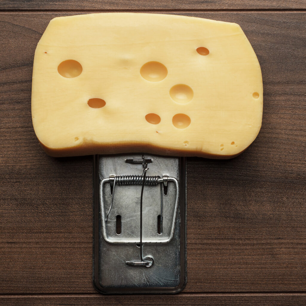 big-piece-of-cheese-in-mousetrap