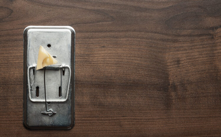  7 of the Most Efficient Ways to get Rid of Mice Immediately