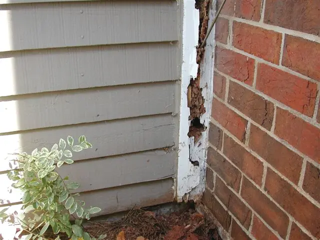 termite-damage-on-a-home_640x480