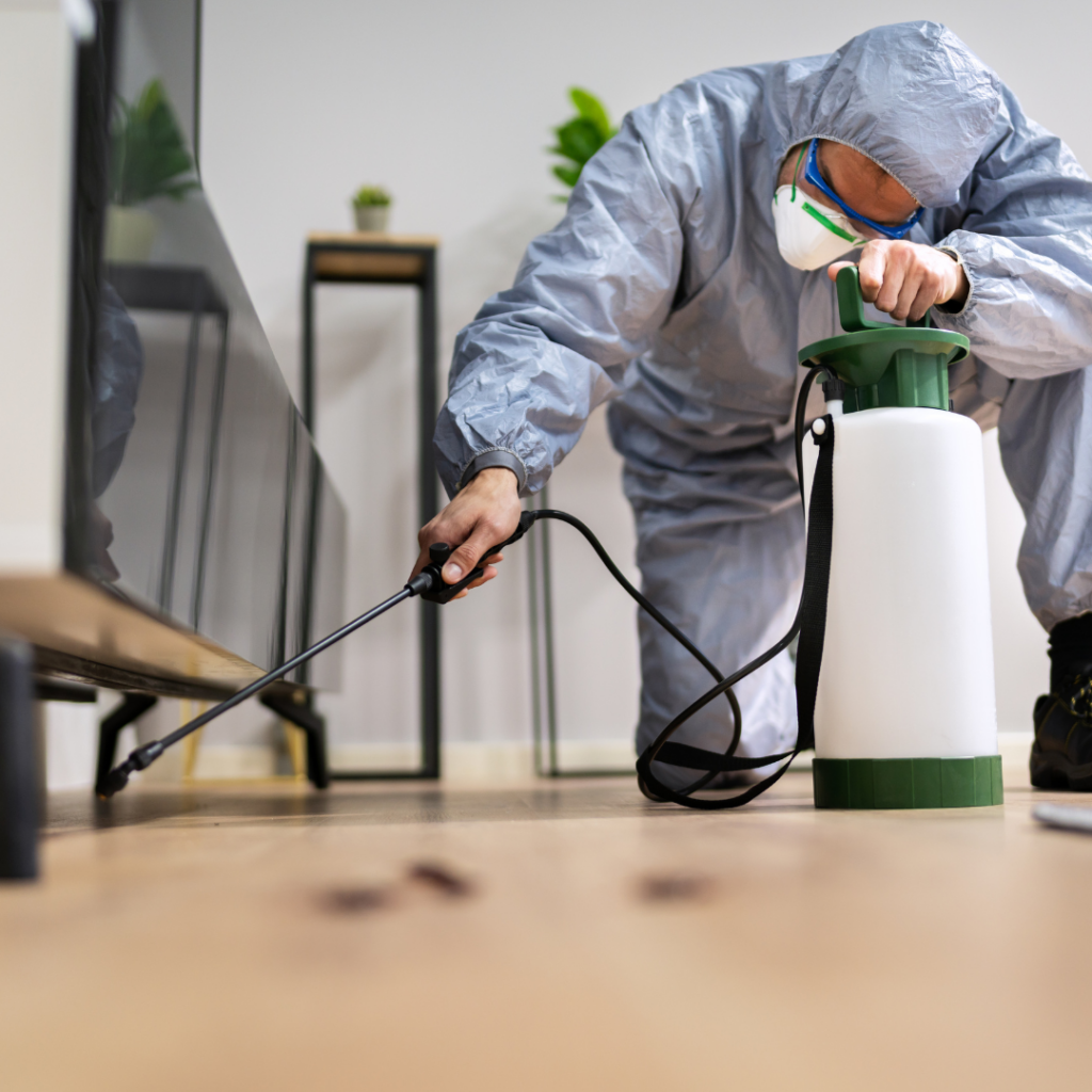 Practicing Safe Pest Control: A Smart and Responsible Approach 