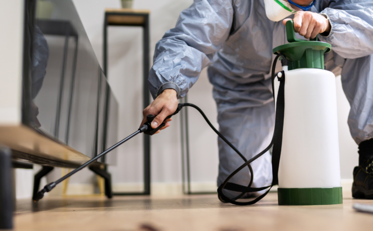 Practicing Safe Pest Control: A Smart and Responsible Approach